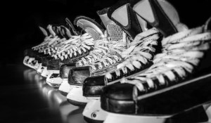 Arizona Coyotes' Ambitious Plan to Develop New Arena and Entertainment District in Phoenix