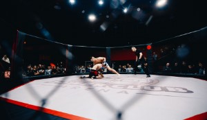Conor McGregor Eyes Political Arena