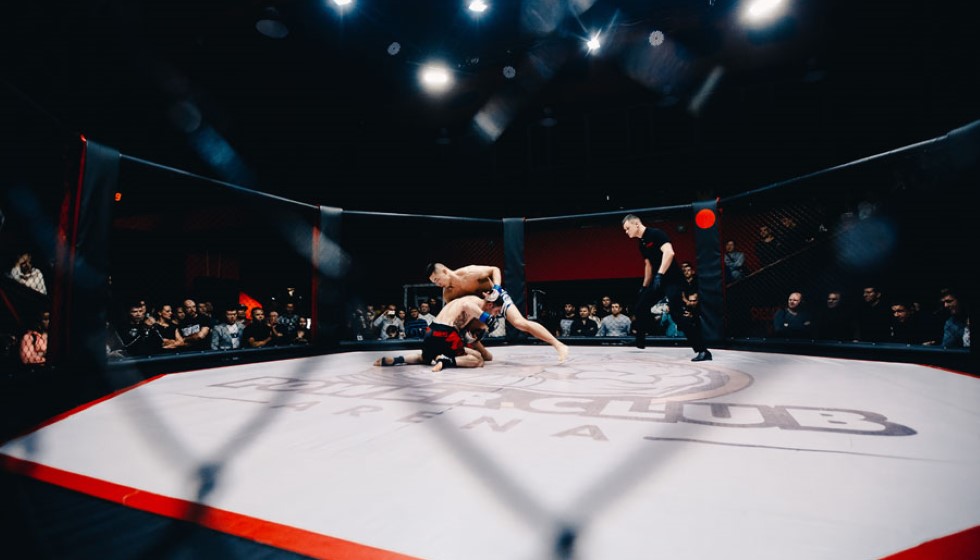 Exploring the UFC Landscape: From Dricus du Plessis to Zhang Weili