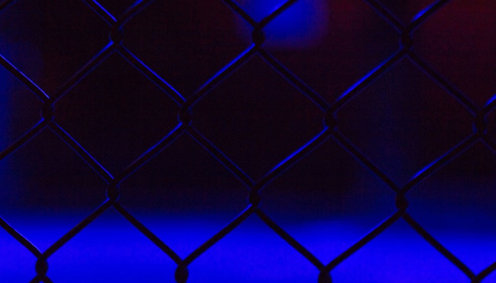Umar Nurmagomedov Dominates Cory Sandhagen in UFC Fight Night Showdown